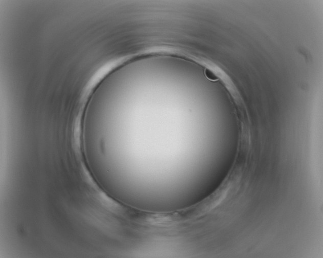 X0000113891199200910081801