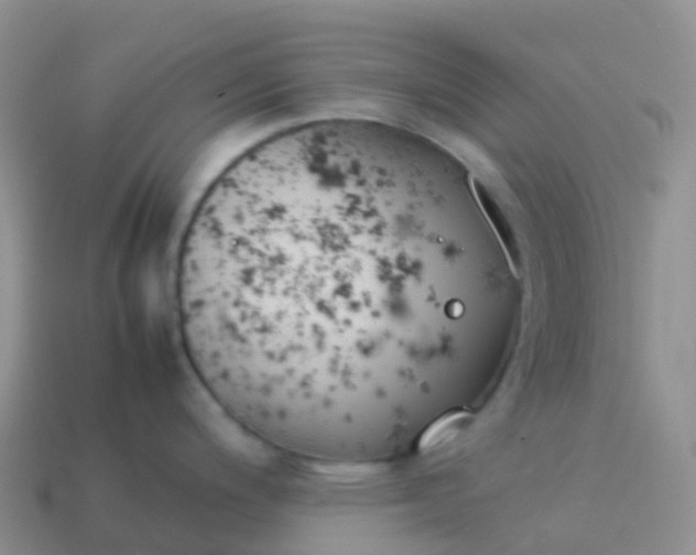 X0000113891200200910081801