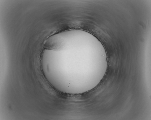 X0000113891201200910081801