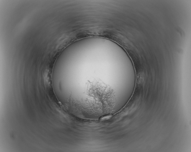 X0000113891202200910081801