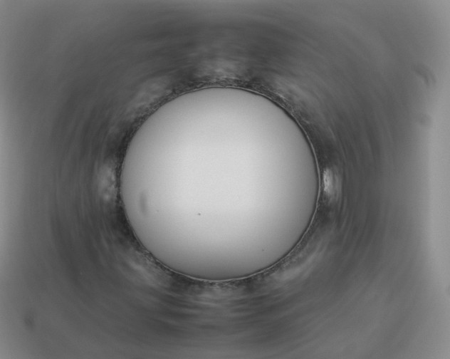 X0000113891203200910081801