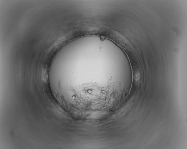 X0000113891204200910081801