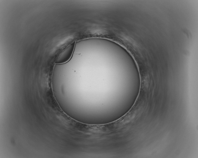 X0000113891205200910081801