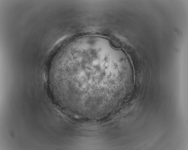 X0000113891206200910081801