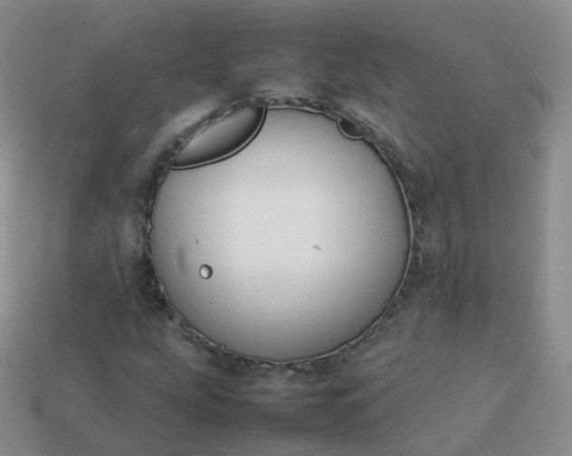 X0000113891207200910081801