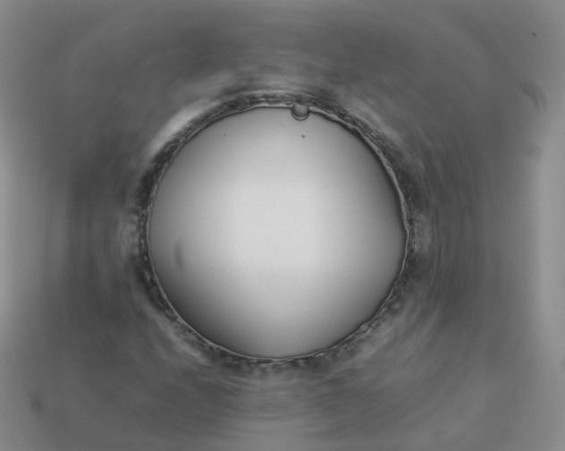 X0000113891208200910081801