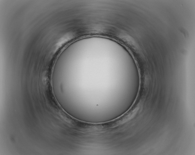 X0000113891210200910081801