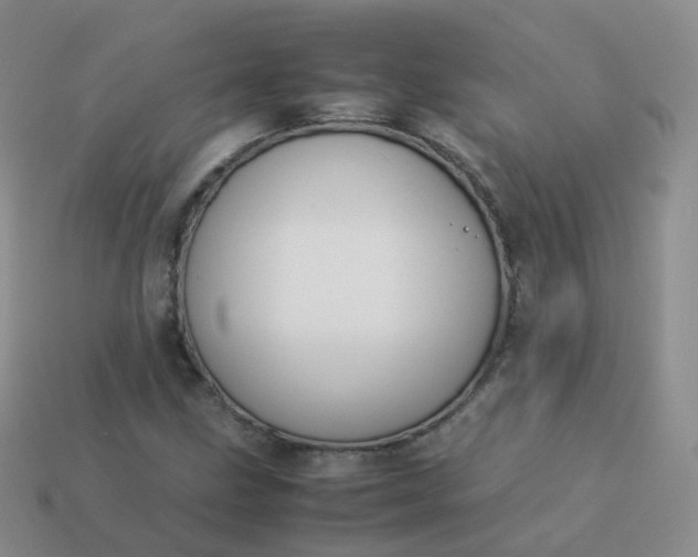 X0000113891211200910081801