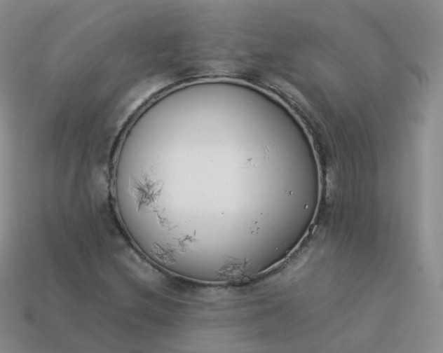 X0000113891212200910081801