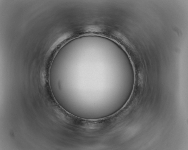 X0000113891213200910081801