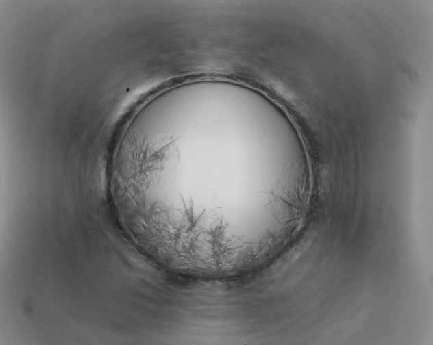 X0000113891214200910081801