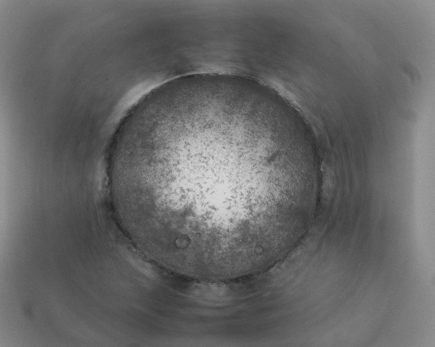 X0000113891215200910081801