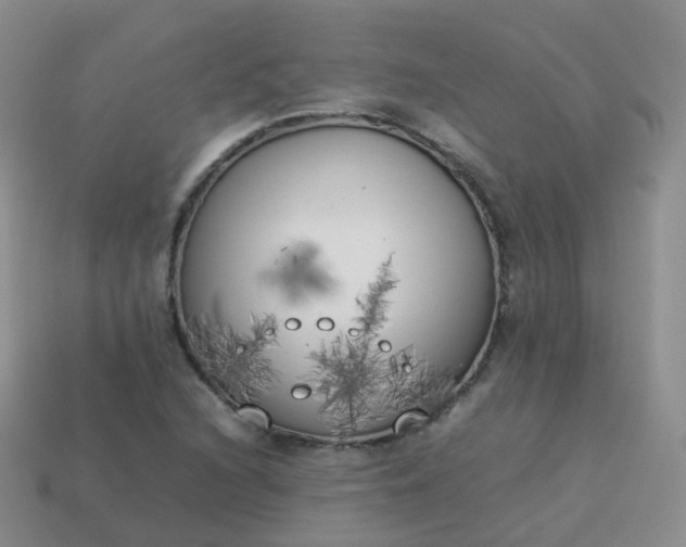 X0000113891216200910081801