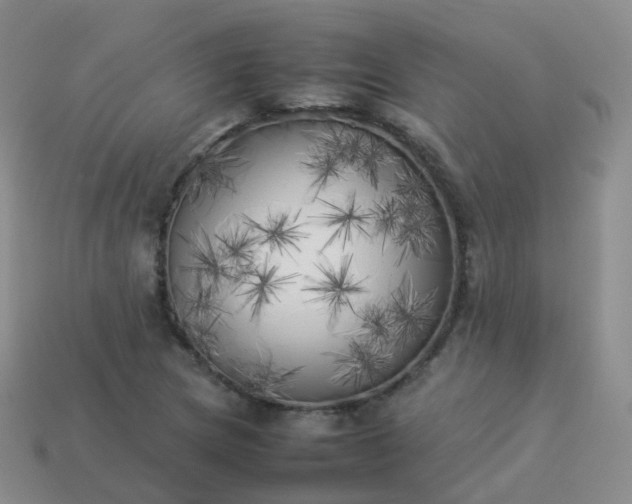 X0000113891217200910081801