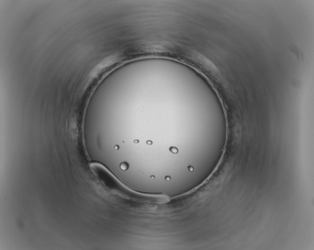 X0000113891218200910081801