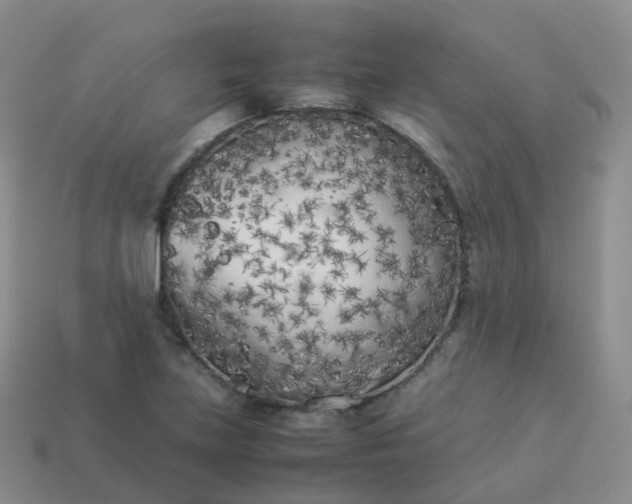 X0000113891219200910081801