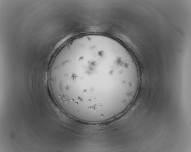 X0000113891220200910081801