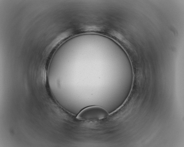 X0000113891221200910081801