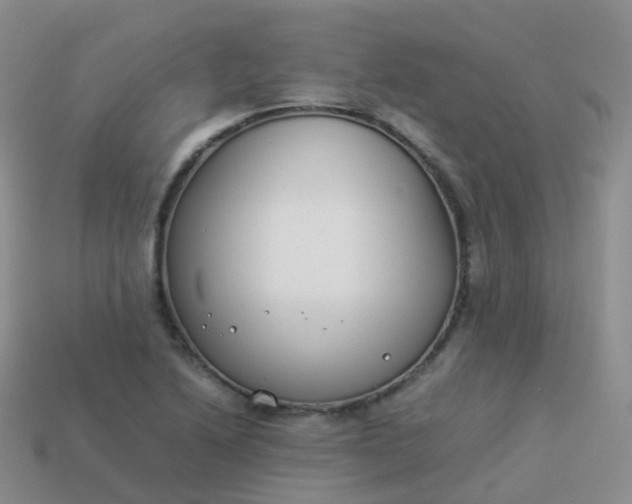 X0000113891222200910081801