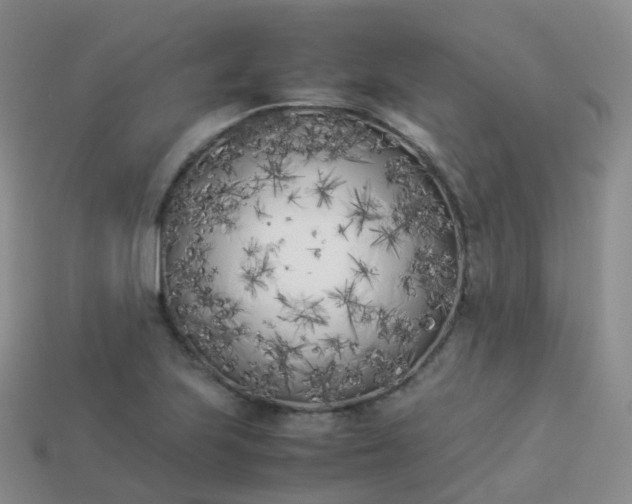 X0000113891223200910081801