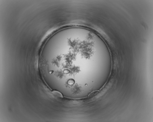 X0000113891224200910081801