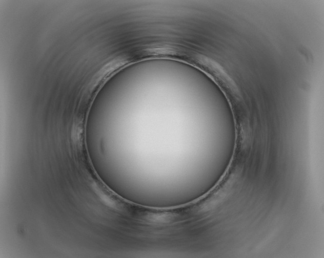 X0000113891225200910081801