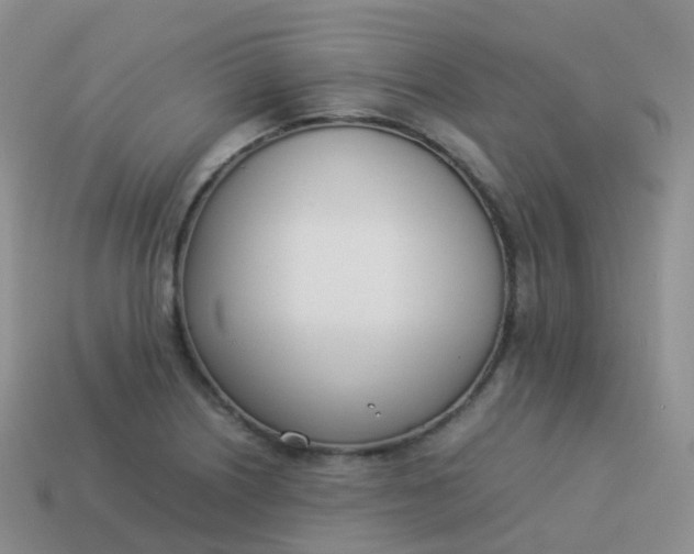 X0000113891226200910081801