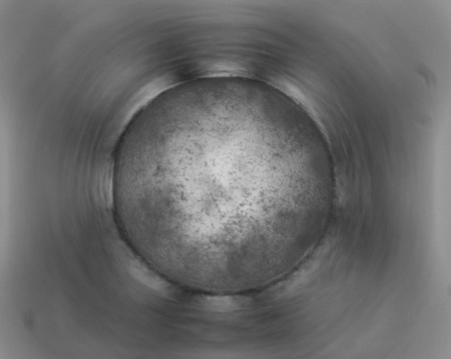 X0000113891227200910081801