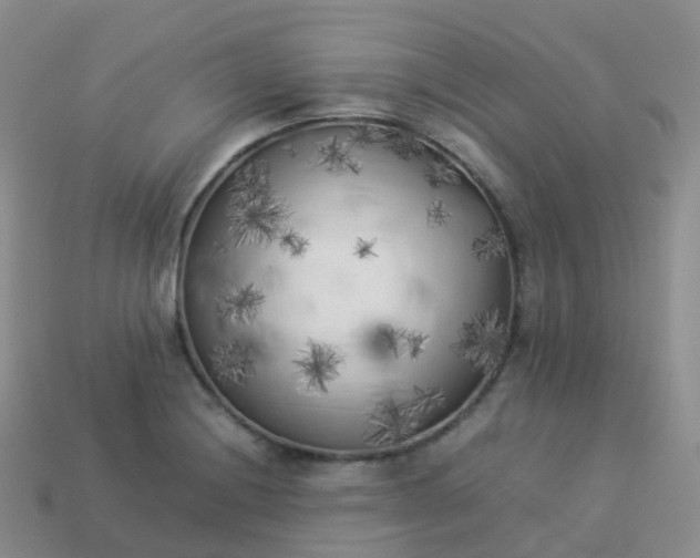 X0000113891228200910081801