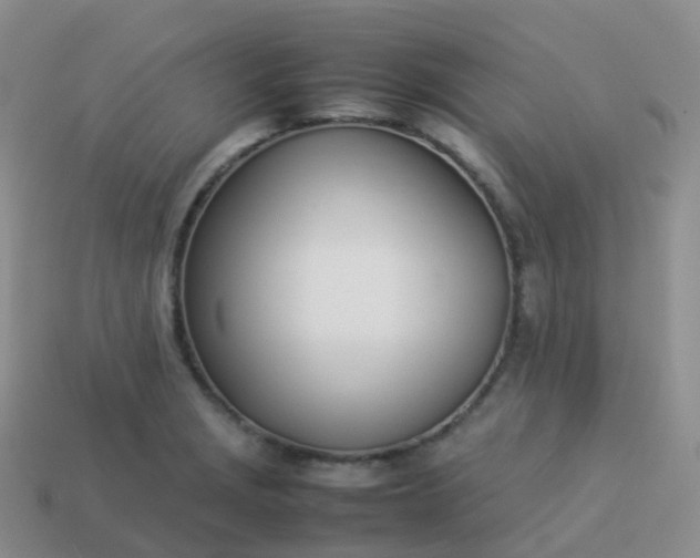 X0000113891229200910081801