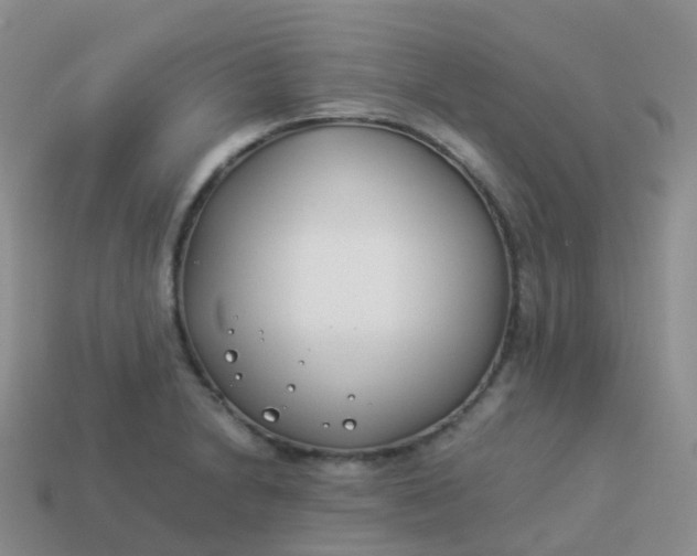 X0000113891230200910081801