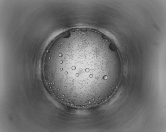 X0000113891231200910081801