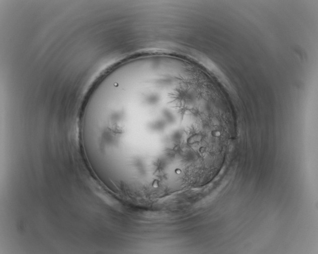 X0000113891232200910081801