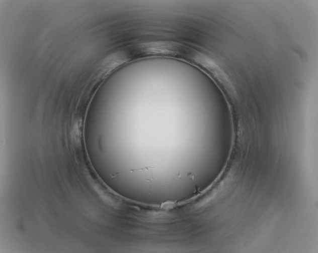 X0000113891233200910081801