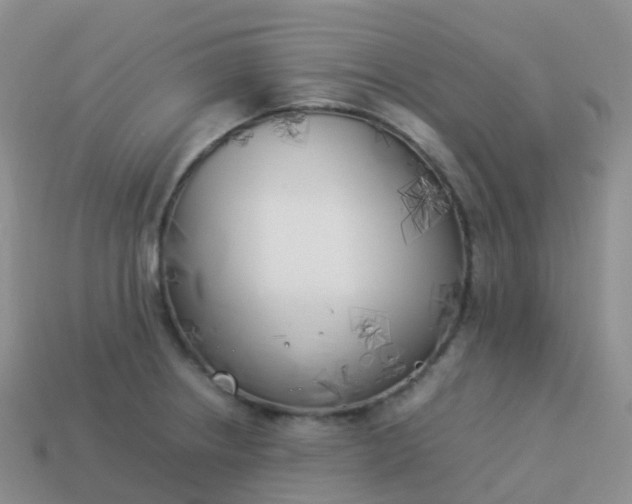 X0000113891234200910081801