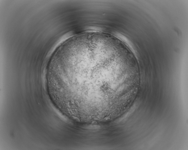 X0000113891235200910081801