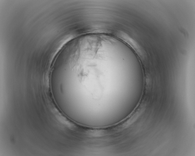 X0000113891236200910081801