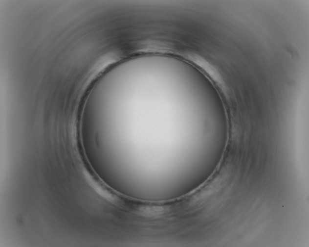 X0000113891237200910081801