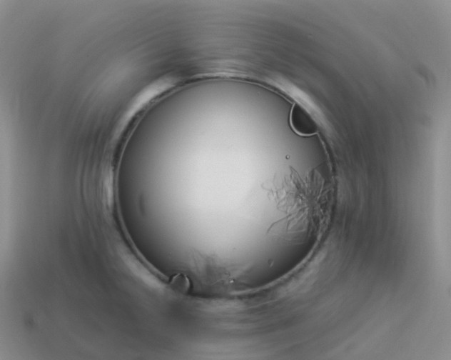 X0000113891238200910081801