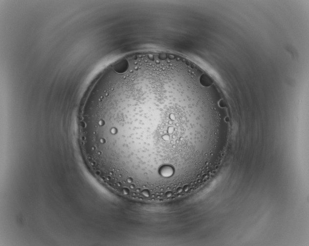 X0000113891239200910081801