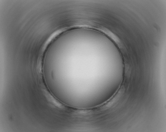 X0000113891240200910081801