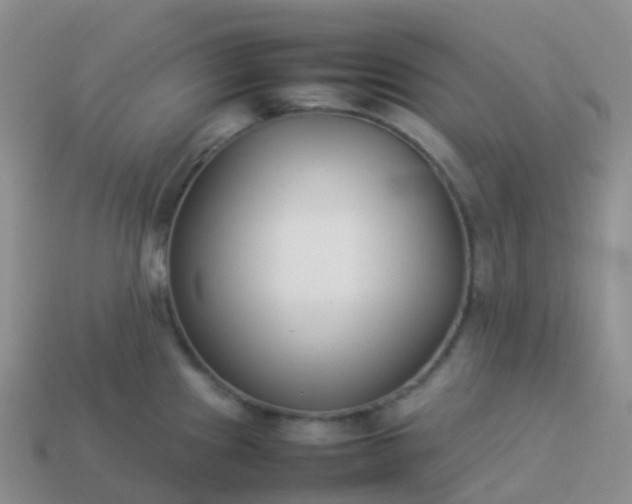 X0000113891241200910081801