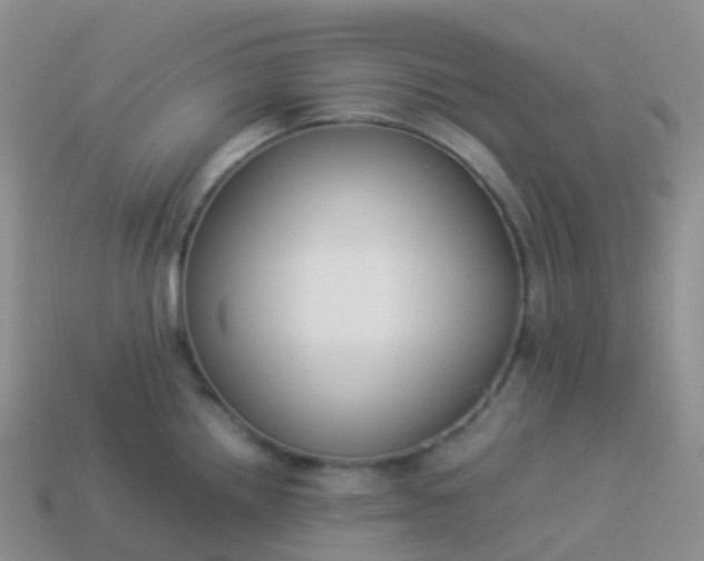 X0000113891242200910081801