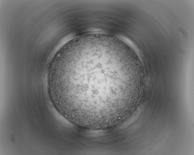 X0000113891243200910081801