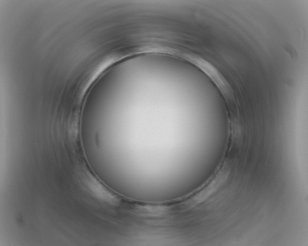 X0000113891244200910081801