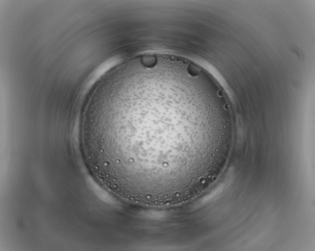 X0000113891245200910081801