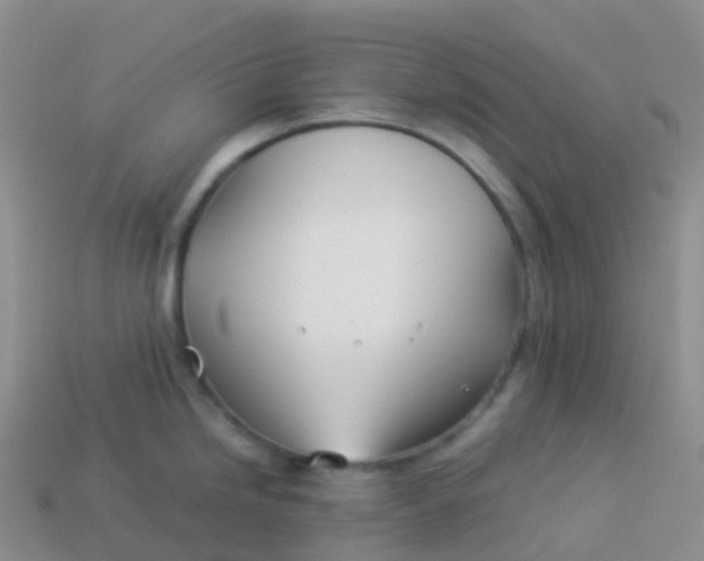 X0000113891246200910081801