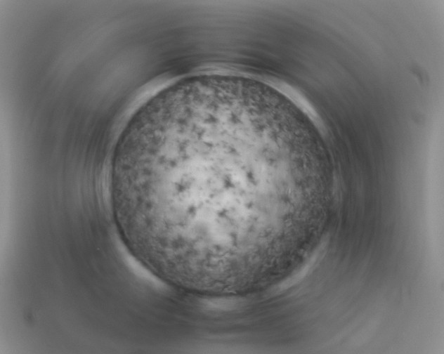 X0000113891247200910081801