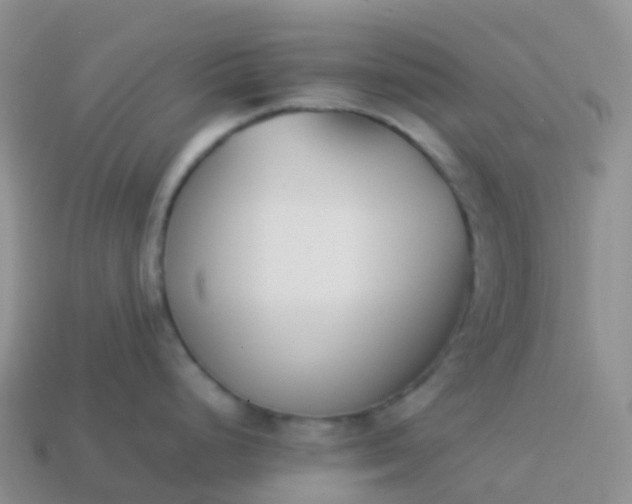 X0000113891248200910081801