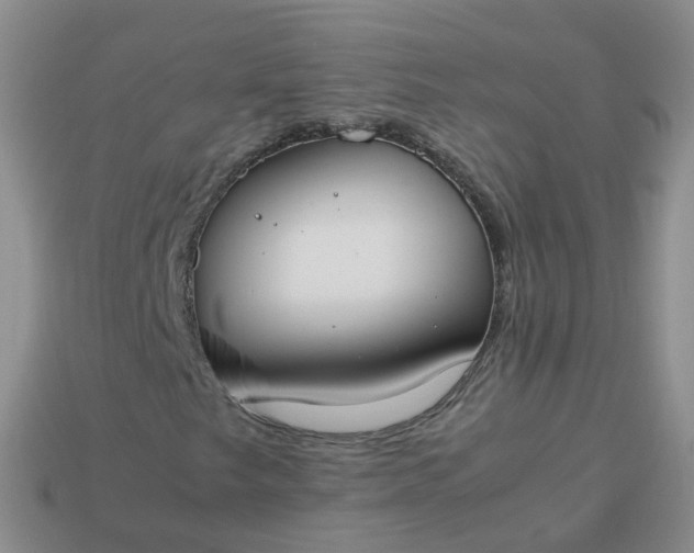 X0000113891249200910081801